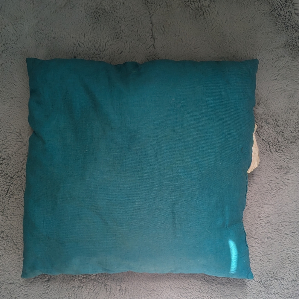 BOGO Square Teal Throw Pillow